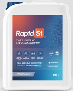 Rapid Si