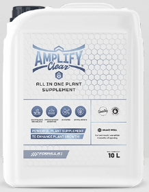 Amplify Clear